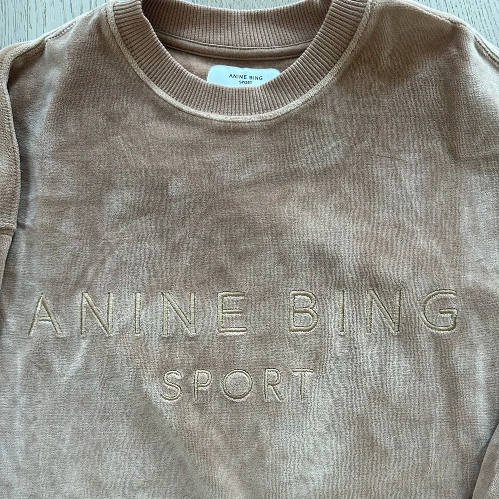 Anine Bing Crewneck Sweatshirt - like new - Picture 2 of 9
